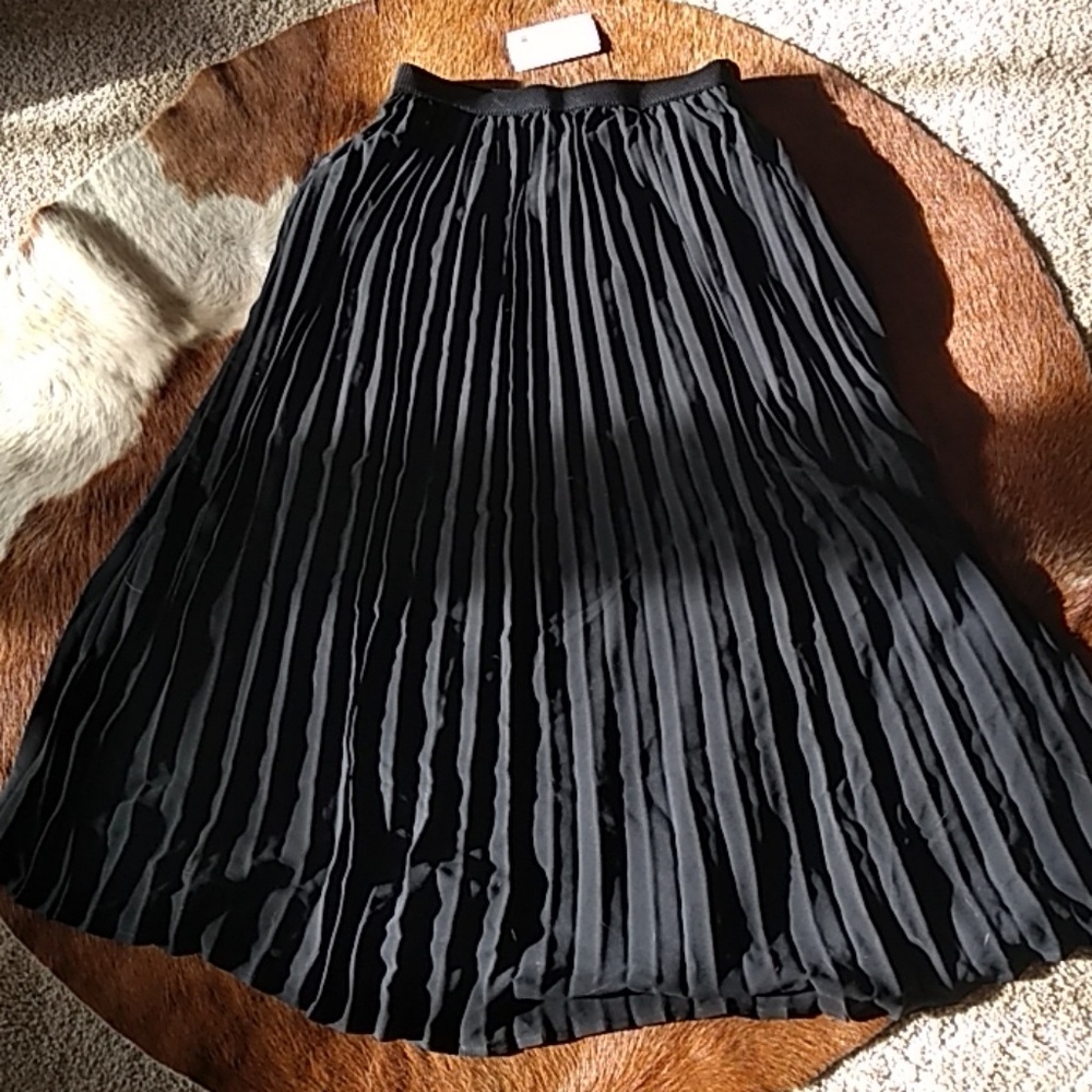 Sz S Betro pleated skirt NWT$71